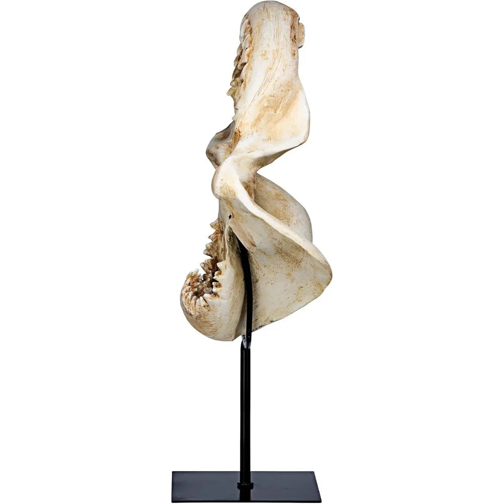 Shark Jaw Sculpture