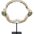 Shark Jaw Sculpture