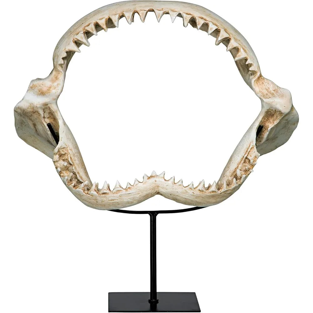 Shark Jaw Sculpture
