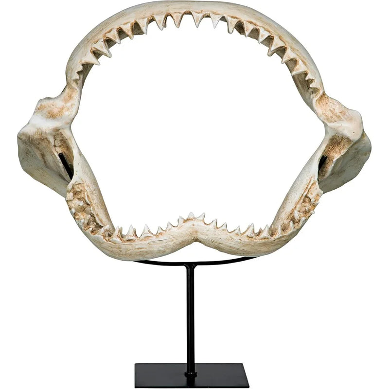Shark Jaw Sculpture