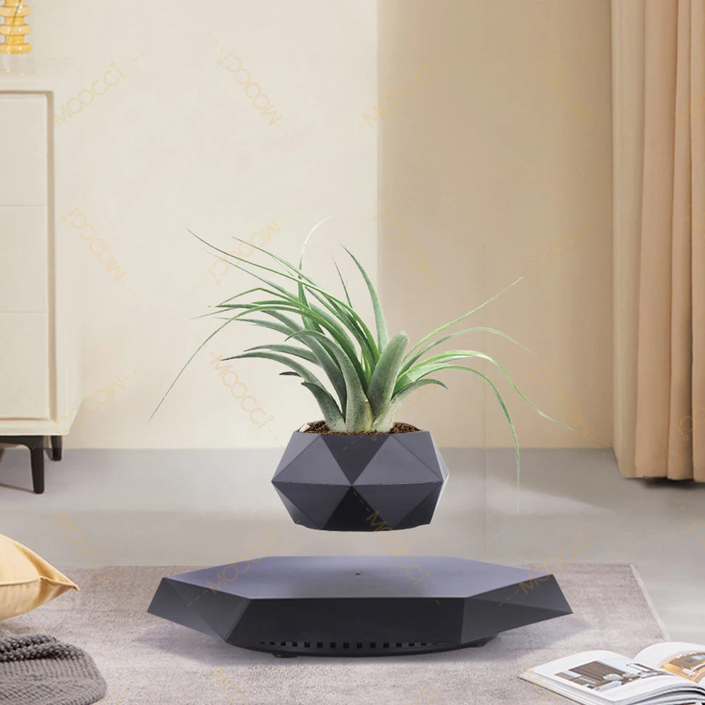 Floating Plant