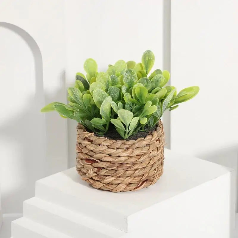 Artificial Plant