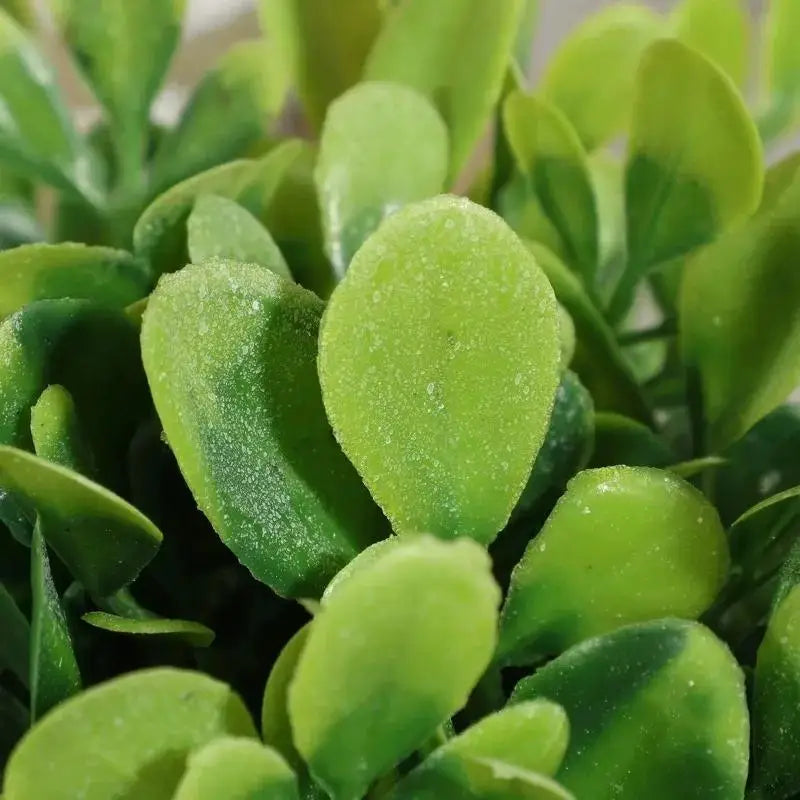 Artificial Plant