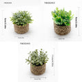 Artificial Plant