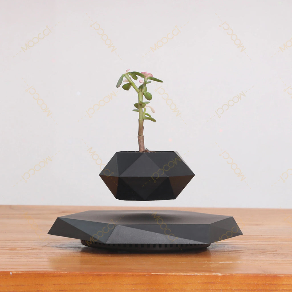 Floating Plant