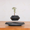 Floating Plant