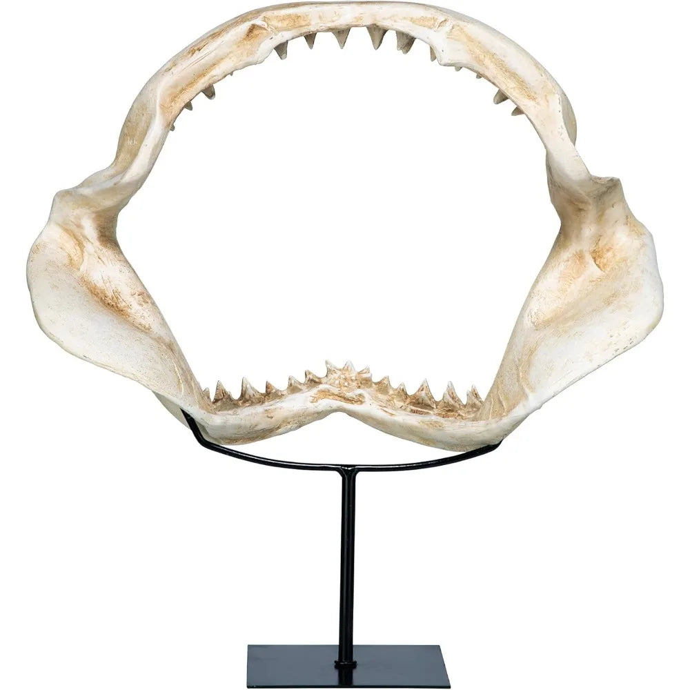 Shark Jaw Sculpture