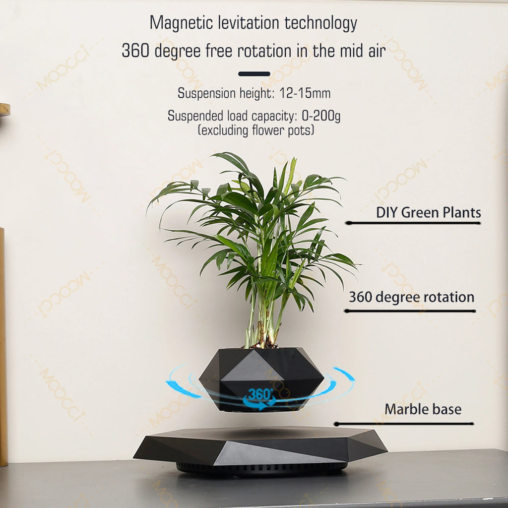 Floating Plant
