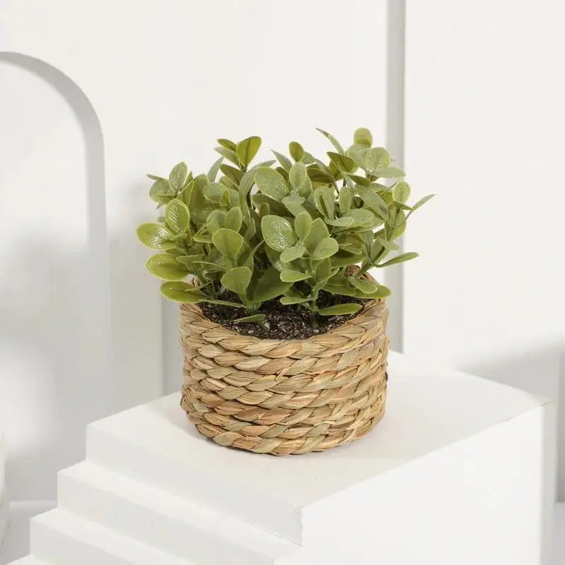 Artificial Plant