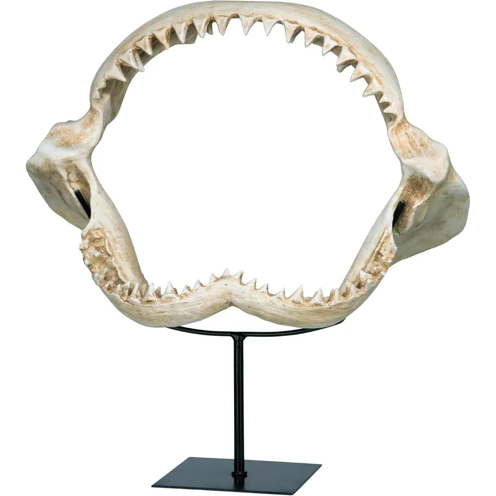 Shark Jaw Sculpture