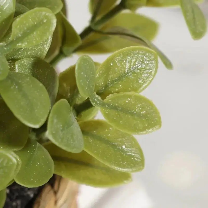 Artificial Plant