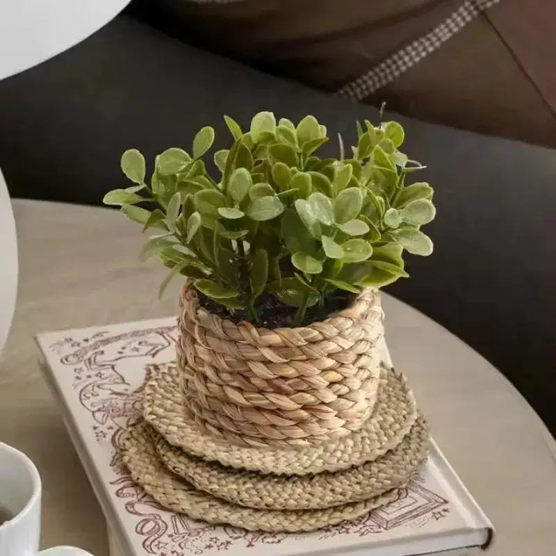 Artificial Plant