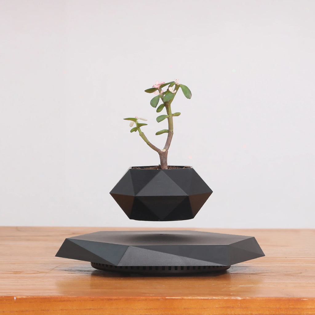 Floating Plant