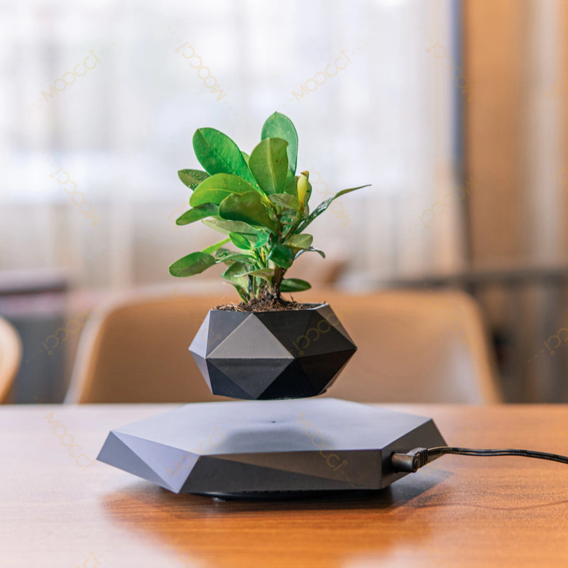 Floating Plant